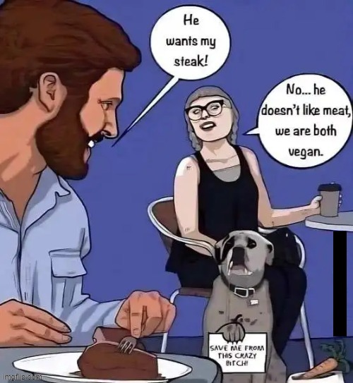 Dog wants to be man's best friend | image tagged in sjw,crazy lady,dog,vegan,friend | made w/ Imgflip meme maker