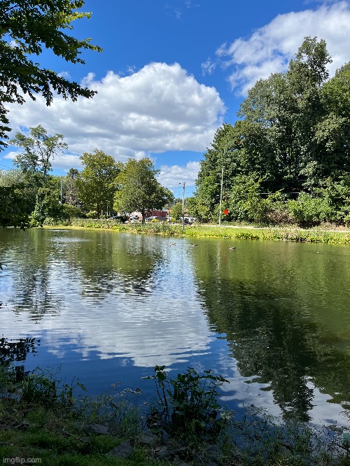 DucK LaKe | image tagged in august 2025,duck,lake,end of summer,brian einersen | made w/ Imgflip meme maker