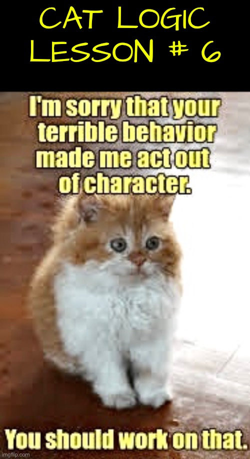 Cat Logic Lesson # 6 | CAT LOGIC LESSON # 6 | image tagged in cats,funny cat memes,logic,life lessons,narcissism,funny memes | made w/ Imgflip meme maker