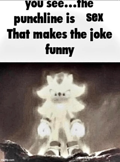 Shadow explains the joke | sex | image tagged in shadow explains the joke | made w/ Imgflip meme maker