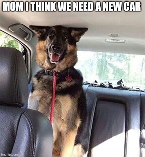 Mom I Think We Need A New Car | MOM I THINK WE NEED A NEW CAR | image tagged in chris joines | made w/ Imgflip meme maker