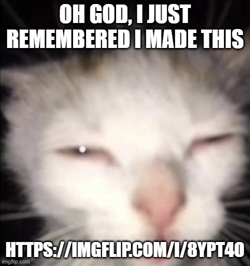 cringe | OH GOD, I JUST REMEMBERED I MADE THIS; HTTPS://IMGFLIP.COM/I/8YPT4O | image tagged in squinting cat | made w/ Imgflip meme maker