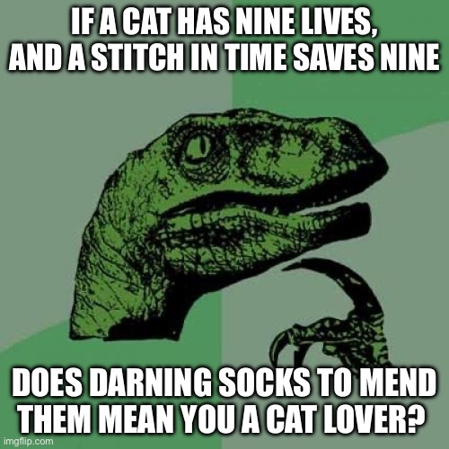 Saving the cats | IF A CAT HAS NINE LIVES, AND A STITCH IN TIME SAVES NINE; DOES DARNING SOCKS TO MEND THEM MEAN YOU A CAT LOVER? | image tagged in memes,philosoraptor,cats,stitch,sewing | made w/ Imgflip meme maker