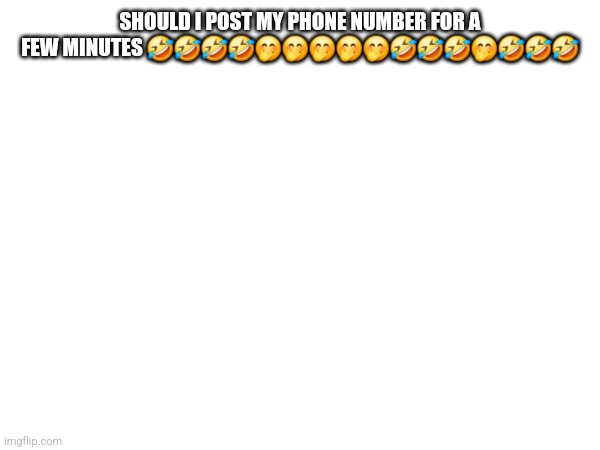 Ok. | SHOULD I POST MY PHONE NUMBER FOR A FEW MINUTES 🤣🤣🤣🤣🤭🤭🤭🤭🤭🤣🤣🤣🤭🤣🤣🤣 | made w/ Imgflip meme maker