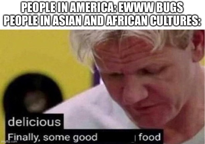 Girls: scream | PEOPLE IN AMERICA: EWWW BUGS
PEOPLE IN ASIAN AND AFRICAN CULTURES: | image tagged in if,you,read this your cursed,gordon ramsay some good food,food is good | made w/ Imgflip meme maker