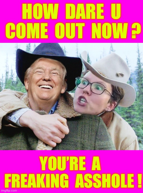 LIES , LIES , LIES !  They Repeat Them ….. GOD KNOWS WHY ?  : ) | HOW  DARE  U
 COME  OUT  NOW ? YOU’RE  A 
 FREAKING  ASSHOLE ! | image tagged in trump brokeback mountain | made w/ Imgflip meme maker