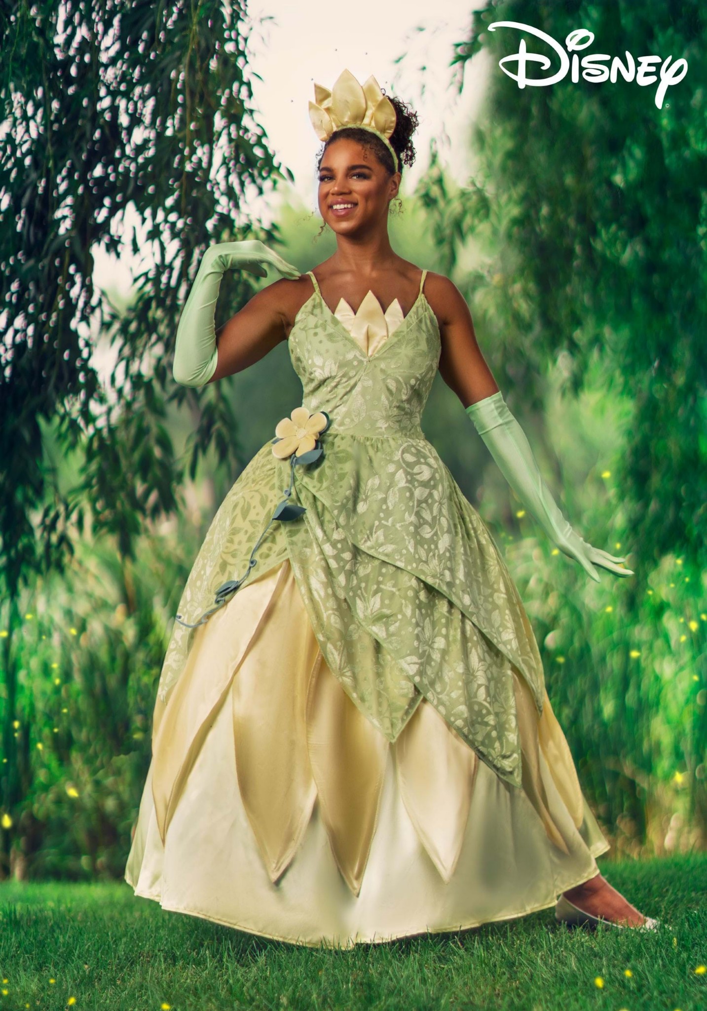 Women's Disney Deluxe Tiana Costume Blank Meme Template