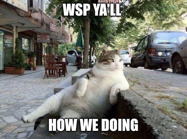 :> | WSP YA'LL; HOW WE DOING | image tagged in cat relax | made w/ Imgflip meme maker