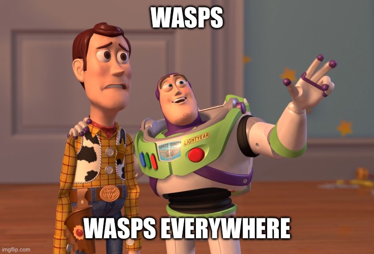 When you shake a tree in Animal Crossing | WASPS; WASPS EVERYWHERE | image tagged in memes,x x everywhere | made w/ Imgflip meme maker