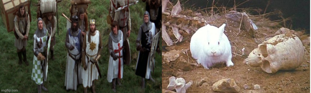 Monty python and the holy grail white rabbit | image tagged in monty python and the holy grail white rabbit | made w/ Imgflip meme maker