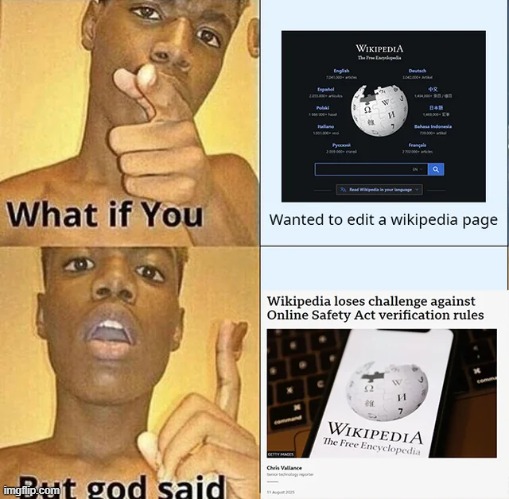 "Ensure wikipedia is protected" | image tagged in memes,funny,wikipedia,what if you wanted to go to heaven,lol | made w/ Imgflip meme maker