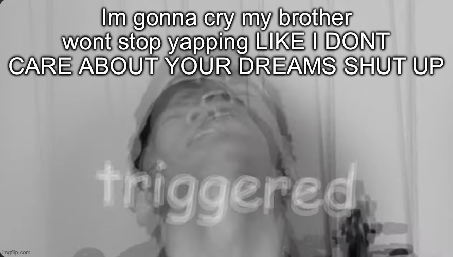 Eddy triggered | Im gonna cry my brother wont stop yapping LIKE I DONT CARE ABOUT YOUR DREAMS SHUT UP | image tagged in eddy triggered | made w/ Imgflip meme maker