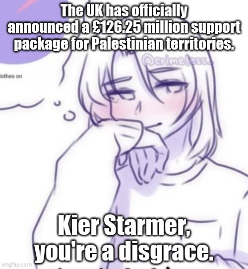 Smug look | The UK has officially announced a £126.25 million support package for Palestinian territories. Kier Starmer, you're a disgrace. | image tagged in smug look | made w/ Imgflip meme maker