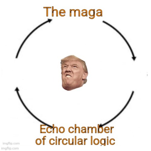 Do you hear an echo? | image tagged in trump,maga echo chamber,always an echo,right wing disinformation | made w/ Imgflip meme maker
