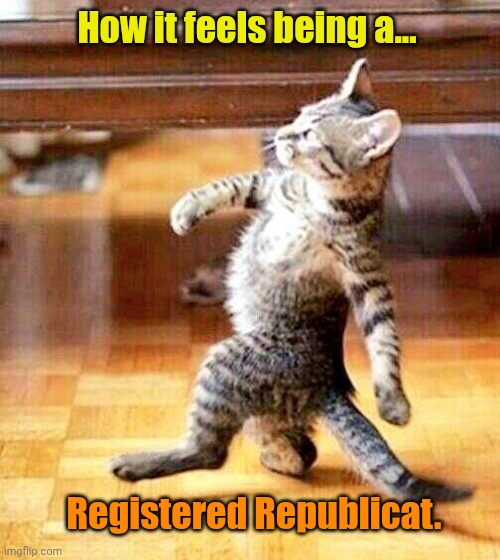 Cat Walking Away | How it feels being a... Registered Republicat. | image tagged in cat walking away | made w/ Imgflip meme maker