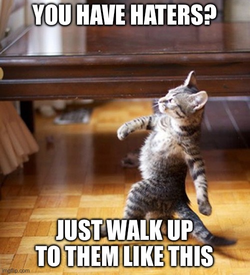 Haterz gonna hate | YOU HAVE HATERS? JUST WALK UP TO THEM LIKE THIS | image tagged in cat walking like a boss | made w/ Imgflip meme maker