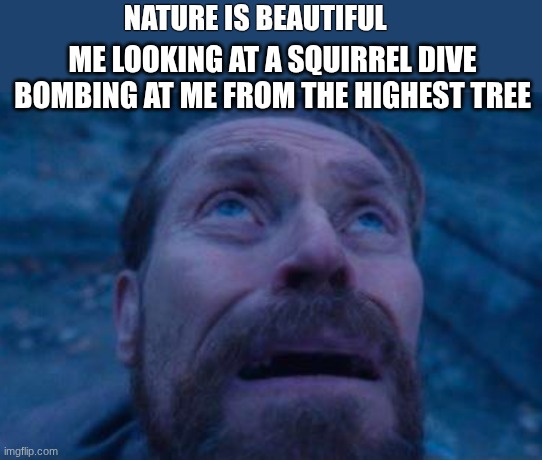 Based of true events | NATURE IS BEAUTIFUL; ME LOOKING AT A SQUIRREL DIVE BOMBING AT ME FROM THE HIGHEST TREE | image tagged in willem dafoe looking up,funny memes,nature | made w/ Imgflip meme maker