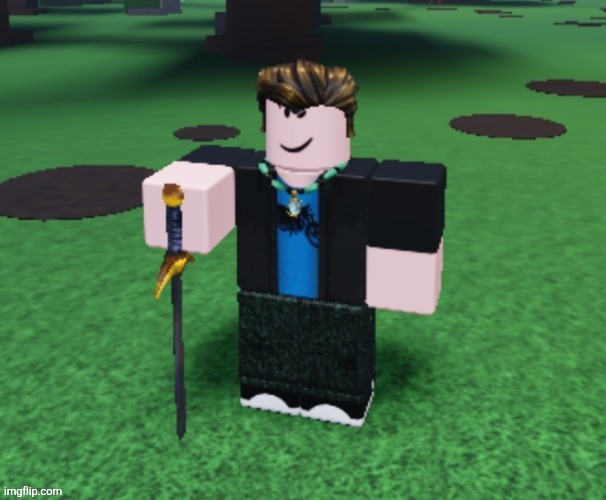 Idiot | image tagged in roblox | made w/ Imgflip meme maker