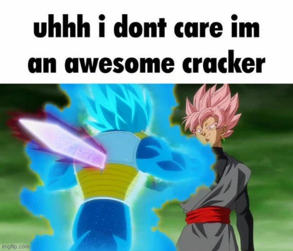 Uhh idc im an awesome cracker | image tagged in uhh idc im an awesome cracker | made w/ Imgflip meme maker