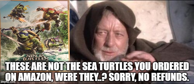These Aren't The Droids You Were Looking For | THESE ARE NOT THE SEA TURTLES YOU ORDERED ON AMAZON, WERE THEY..? SORRY, NO REFUNDS. | image tagged in memes,these aren't the droids you were looking for,star wars,amazon echo | made w/ Imgflip meme maker