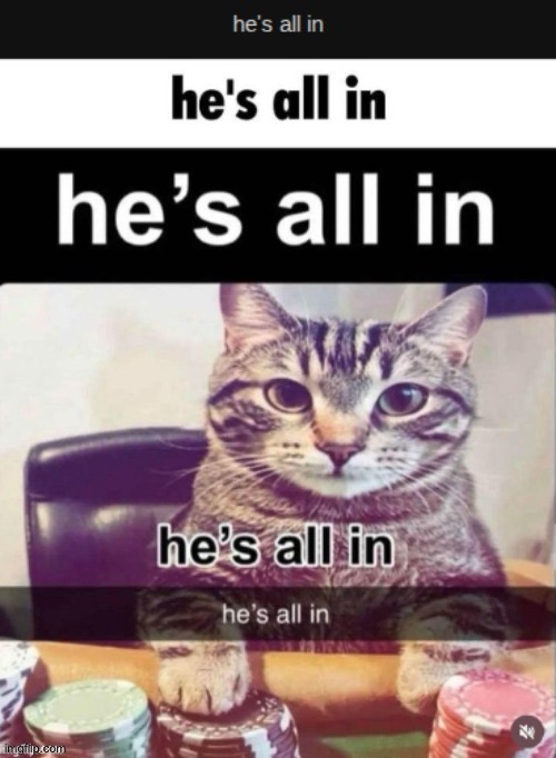 he's all in | image tagged in he's all in | made w/ Imgflip meme maker