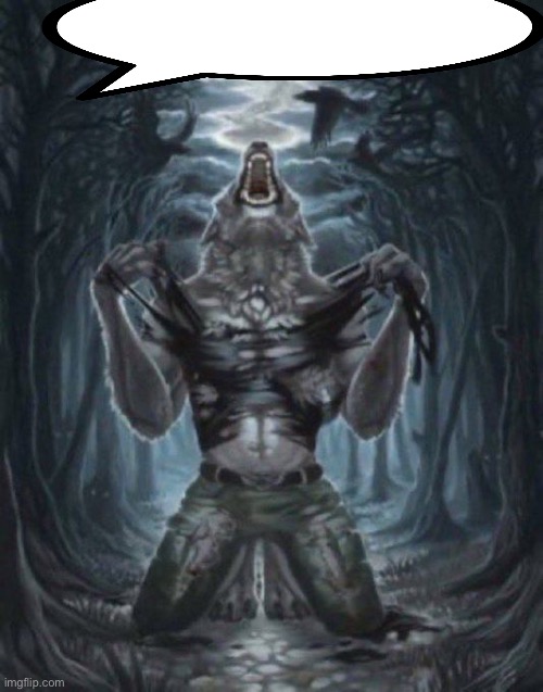 alpha wolf | image tagged in alpha wolf | made w/ Imgflip meme maker