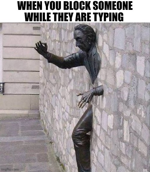 When You Block Someone While They Are Typing | WHEN YOU BLOCK SOMEONE WHILE THEY ARE TYPING | image tagged in chris joines | made w/ Imgflip meme maker