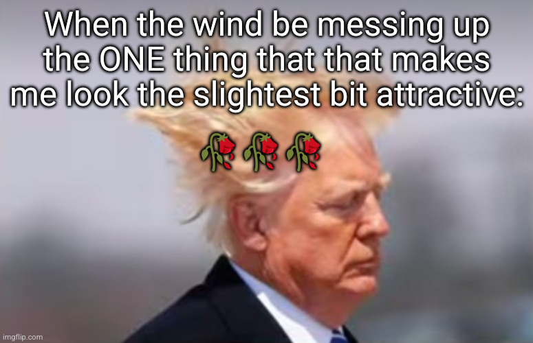 the only defense is get a buzz but then it's just the same prob | When the wind be messing up the ONE thing that that makes me look the slightest bit attractive:; 🥀🥀🥀 | image tagged in hair,so true,sad but true,funny,trump,donald trump | made w/ Imgflip meme maker