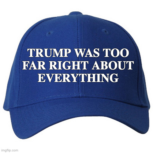 blue hat | TRUMP WAS TOO
FAR RIGHT ABOUT
EVERYTHING | image tagged in blue hat | made w/ Imgflip meme maker