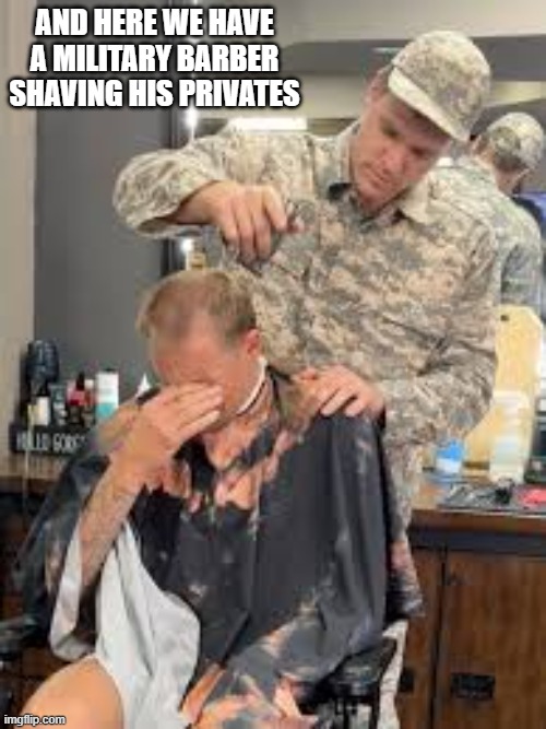 Here's a picture of a military barber shaving his privates.   - funny - | AND HERE WE HAVE A MILITARY BARBER SHAVING HIS PRIVATES | image tagged in funny,funny haircut,haircut,military humor,humor,play on words | made w/ Imgflip meme maker