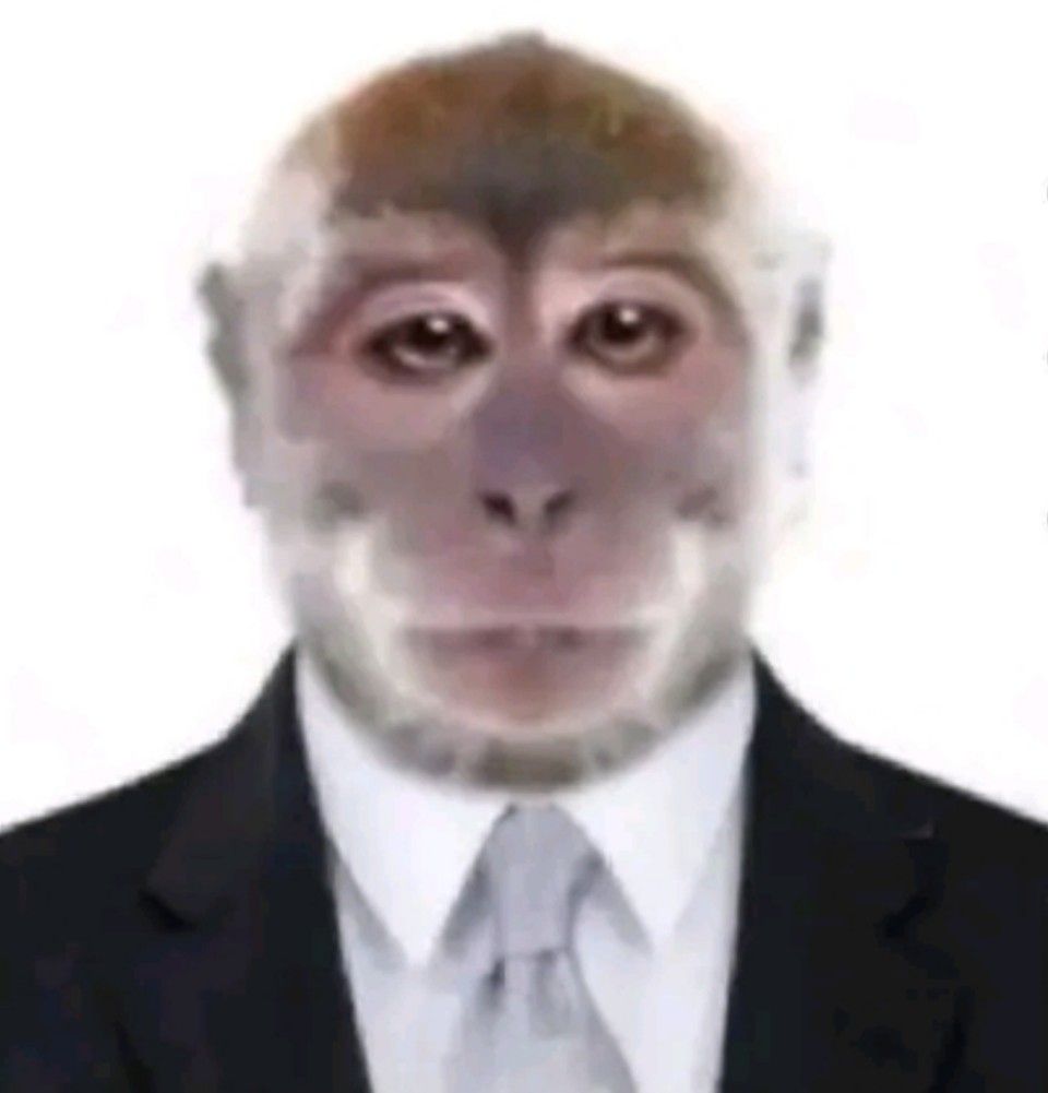 Monkey ID Photo Blank Meme Template
