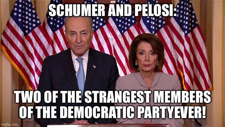 Two strange Democrats | SCHUMER AND PELOSI:; TWO OF THE STRANGEST MEMBERS OF THE DEMOCRATIC PARTY EVER! | image tagged in pelosi and schumer,chuck schumer,nancy pelosi,schumer and pelosi,democrats,democratic party | made w/ Imgflip meme maker