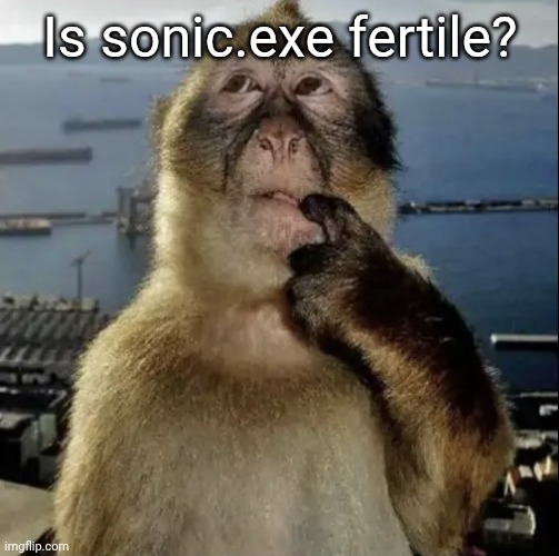 Maybe | Is sonic.exe fertile? | image tagged in monkey thinking | made w/ Imgflip meme maker