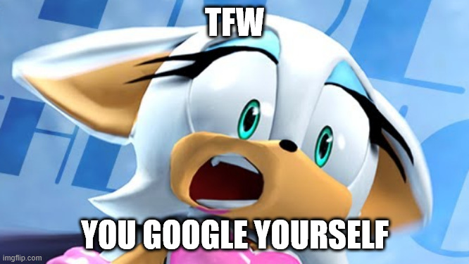 Rouge googles herself and dies.jpg | TFW; YOU GOOGLE YOURSELF | image tagged in horrified rouge,google search | made w/ Imgflip meme maker
