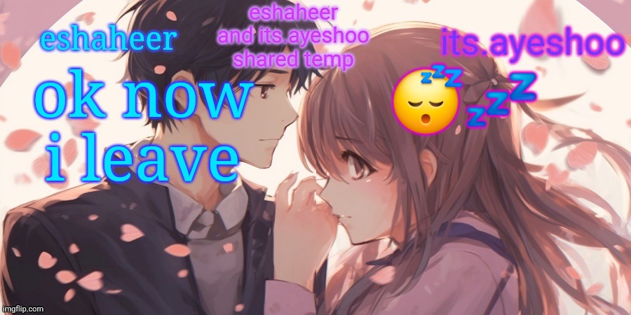 eshaheer and its.ayeshoo shared template | ok now i leave; 😴💤 | image tagged in eshaheer and its ayeshoo shared template | made w/ Imgflip meme maker