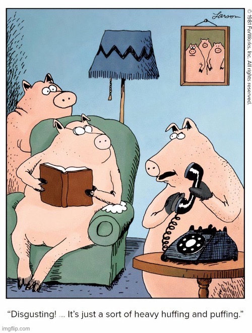 Must be an obscene wolf call… | image tagged in the far side,comics,three little pigs,phone call,huffing and puffing | made w/ Imgflip meme maker