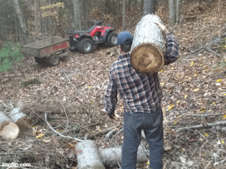 Woods thats where hi belong | image tagged in anough is anough | made w/ Imgflip images-to-gif maker