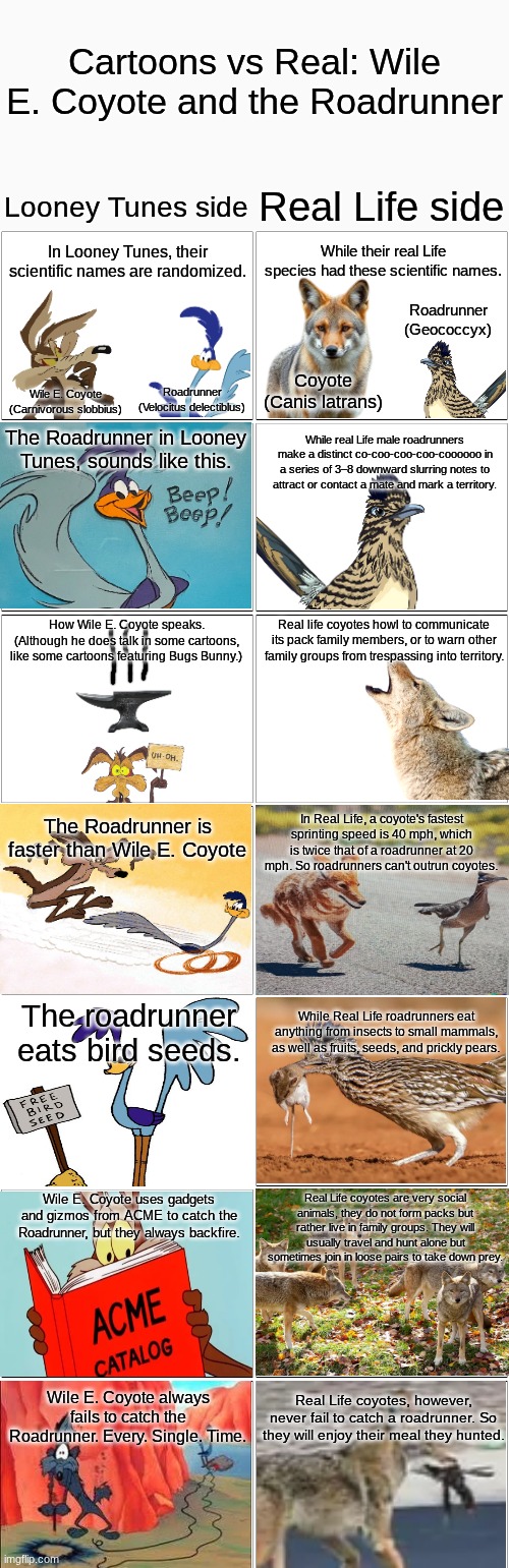 Cartoons vs Real Life: Looney Toons (Featuring Wile E. Coyote and the Roadrunner).mp3 | image tagged in comic,looney tunes,wile e coyote,roadrunner | made w/ Imgflip meme maker