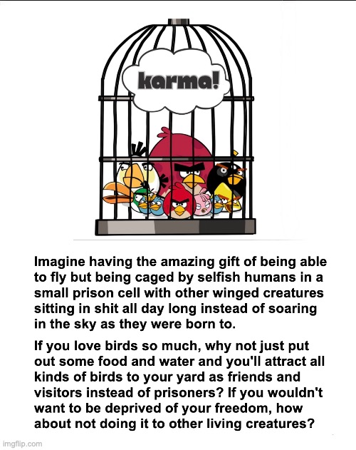Free the birds! | image tagged in birds,cage,inhumane,cruel,angry birds | made w/ Imgflip meme maker
