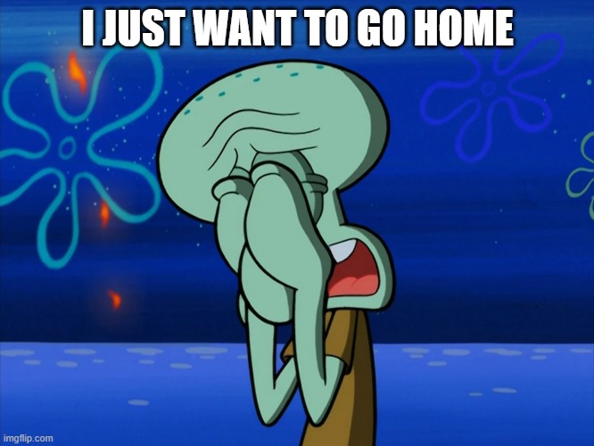 Home is the best | I JUST WANT TO GO HOME | image tagged in home,mental health | made w/ Imgflip meme maker