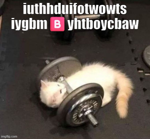 cat working out | iuthhduifotwowts
iygbm🅱️yhtboycbaw | image tagged in cat working out | made w/ Imgflip meme maker