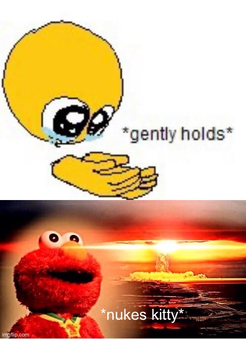 *nukes kitty* | image tagged in gently hold template | made w/ Imgflip meme maker