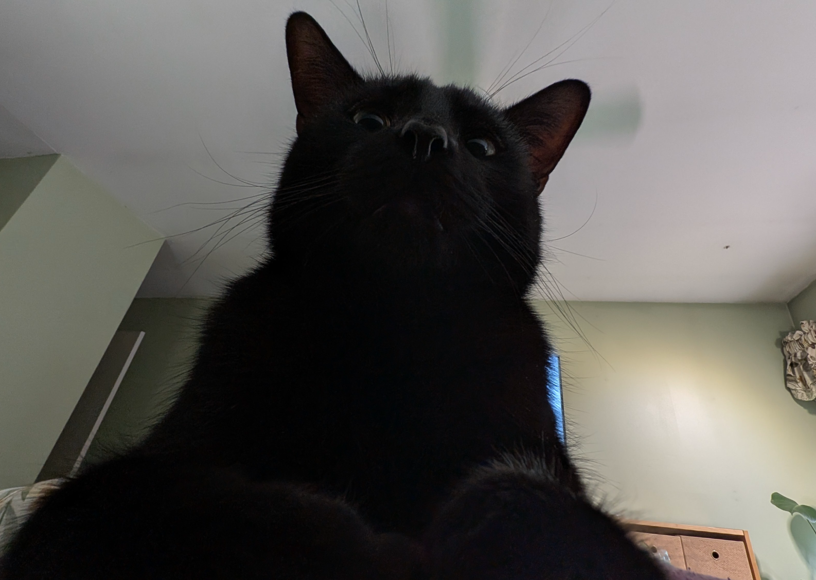 Where's breakfast? Blank Meme Template