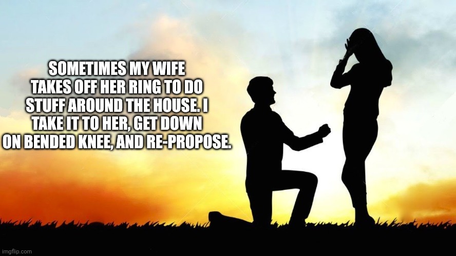 meme proposal | SOMETIMES MY WIFE TAKES OFF HER RING TO DO STUFF AROUND THE HOUSE. I TAKE IT TO HER, GET DOWN ON BENDED KNEE, AND RE-PROPOSE. | image tagged in meme proposal | made w/ Imgflip meme maker