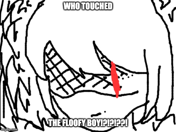 notheer doodell | WHO TOUCHED; THE FLOOFY BOY!?!?!??! | made w/ Imgflip meme maker