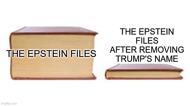 The Epstein Files | THE EPSTEIN FILES AFTER REMOVING TRUMP'S NAME; THE EPSTEIN FILES | image tagged in trump,gop,maga,nazis,fascist,epstein files | made w/ Imgflip meme maker