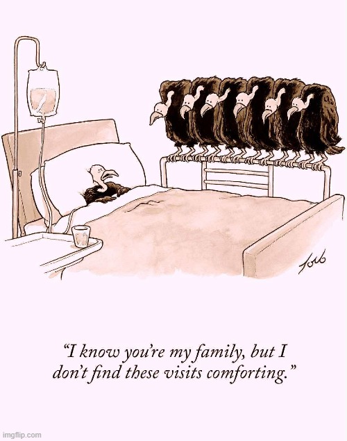 Visiting Hours at Carrion General | image tagged in vince vance,vultures,hospital,cartoons,visit,sickness | made w/ Imgflip meme maker