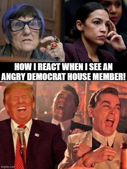 How I react when I see a DEMOCRAT! | HOW I REACT WHEN I SEE AN ANGRY DEMOCRAT HOUSE MEMBER! | image tagged in sam elliott special kind of stupid | made w/ Imgflip meme maker