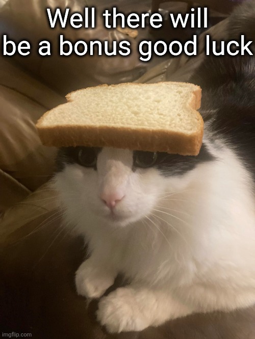bread cat | Well there will be a bonus good luck | image tagged in bread cat | made w/ Imgflip meme maker