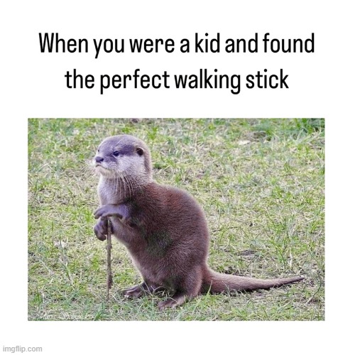 "I'm a Lot Older than I Look" State of Mind | image tagged in vince vance,otter,walking stick,funny animals,memes,funny kids | made w/ Imgflip meme maker